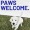 a dog outdoors